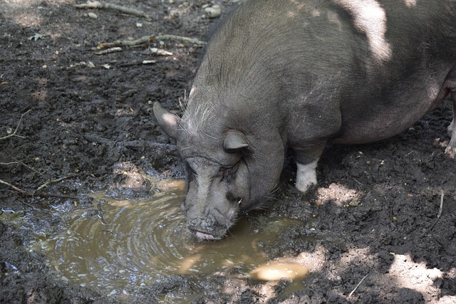 沙特记者：利雅得新月已向利物浦正式报价努涅斯
