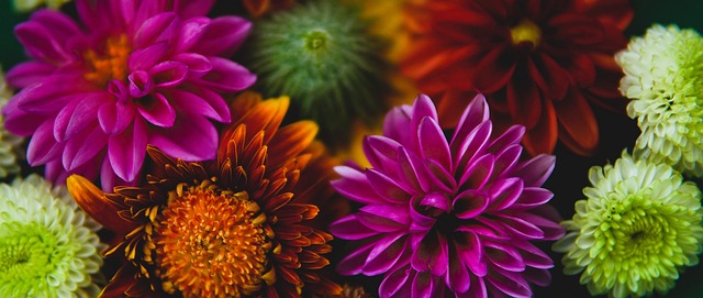 科尔：我们还没找到稳定的轮换体系，显然我们得先等库里回来