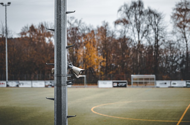 佩莱格里尼：为切利克的进球感到高兴，因为这是他应得的